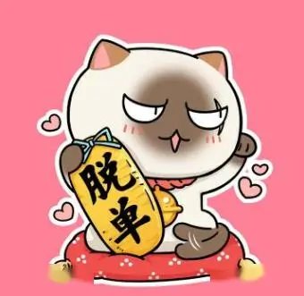 蘑菇视频用户头像